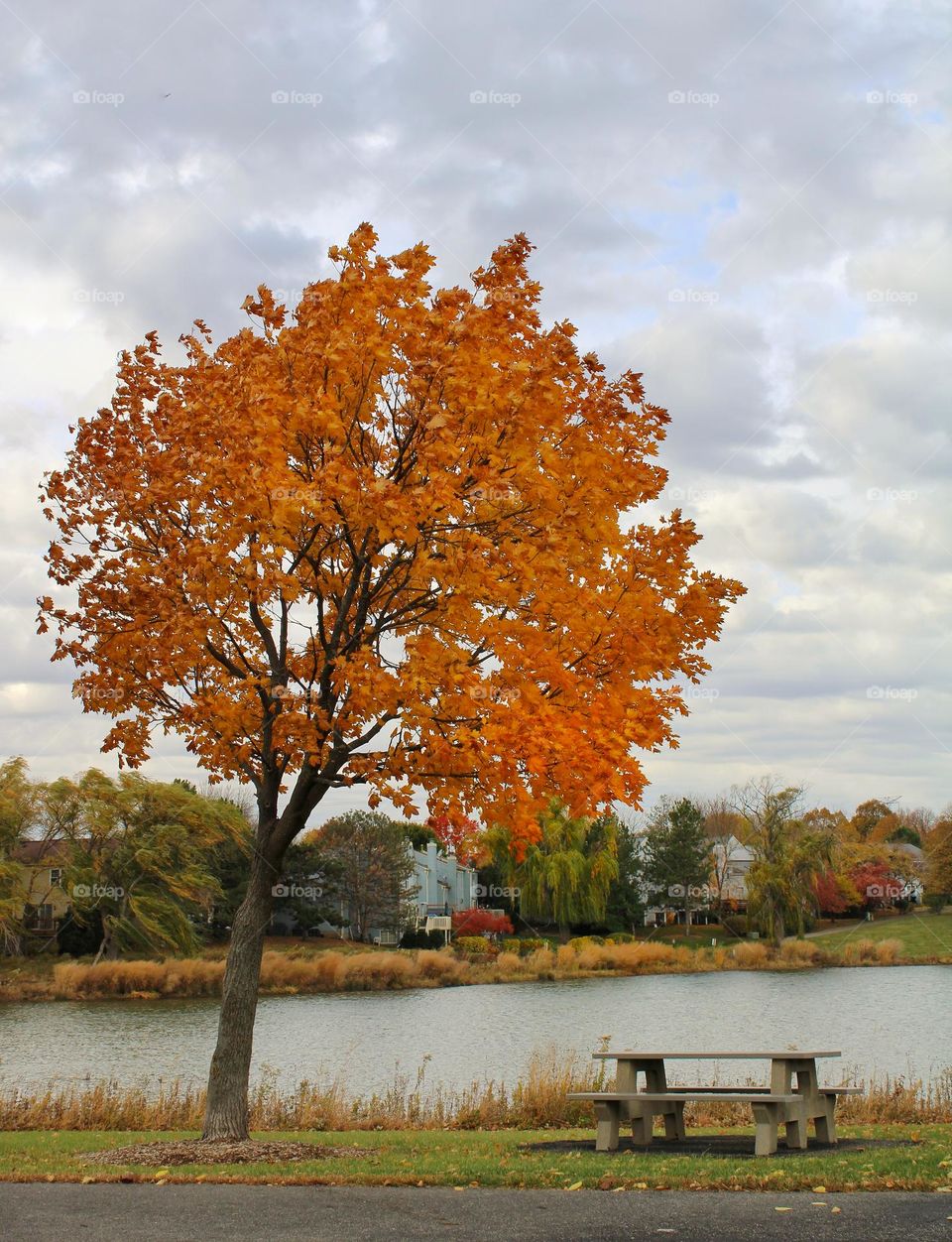 what Autumn looks like at the park