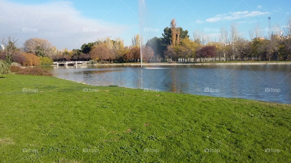 Paisaje de parque 