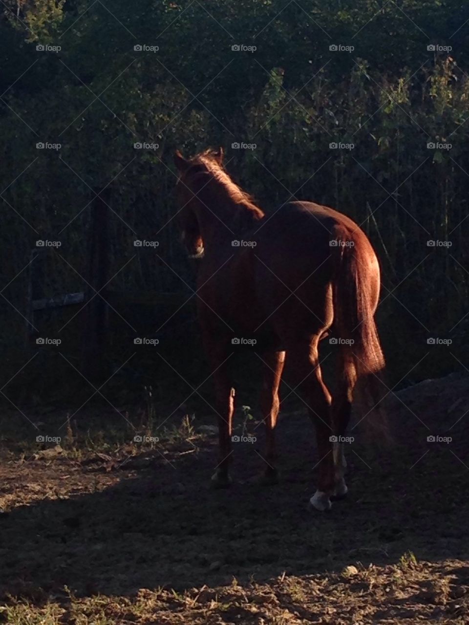 Ride off into the sunset