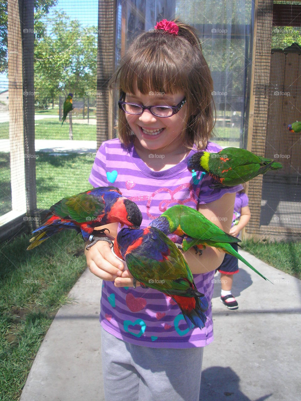 Holding a flock. Girl holding several birds