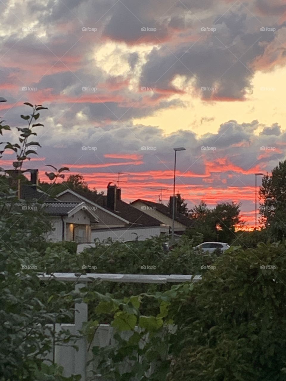 Summer evening sunset