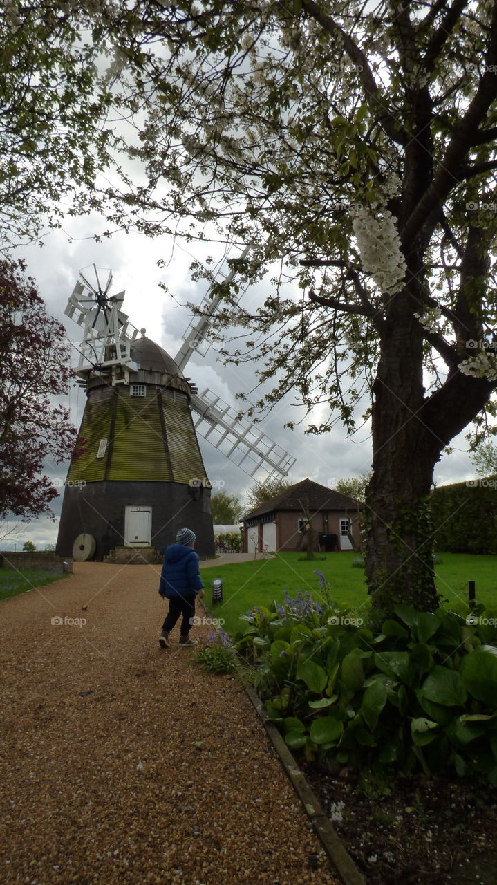 spring mood windmill