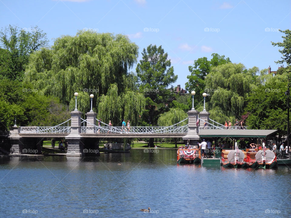 boats pond park boston by lenswipe