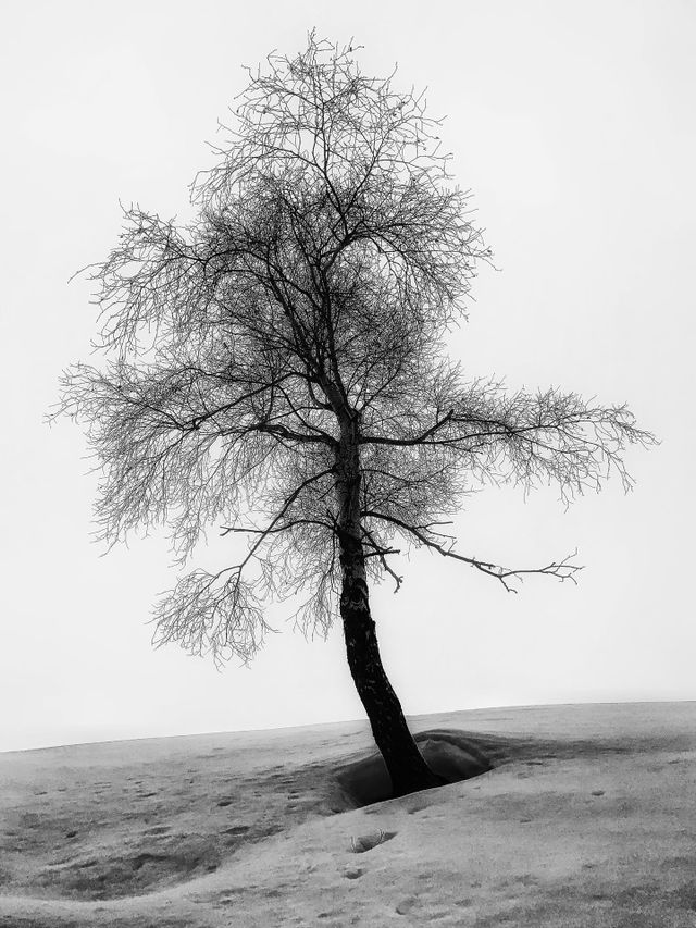 Negative