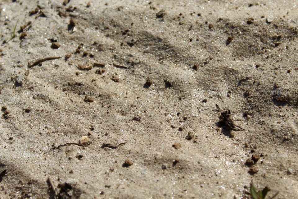 Beach sand