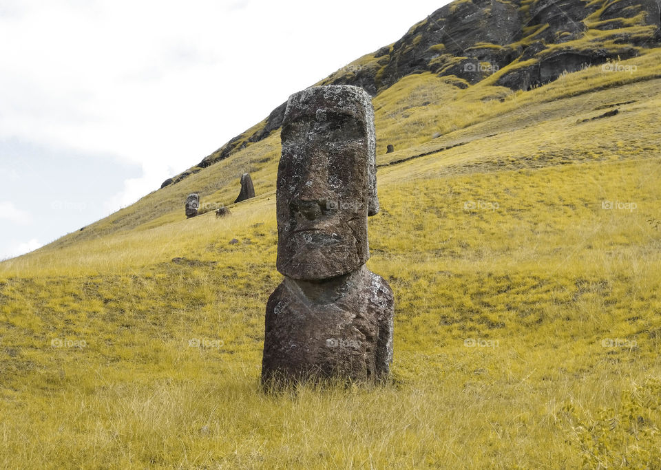 Easter island statues landscape