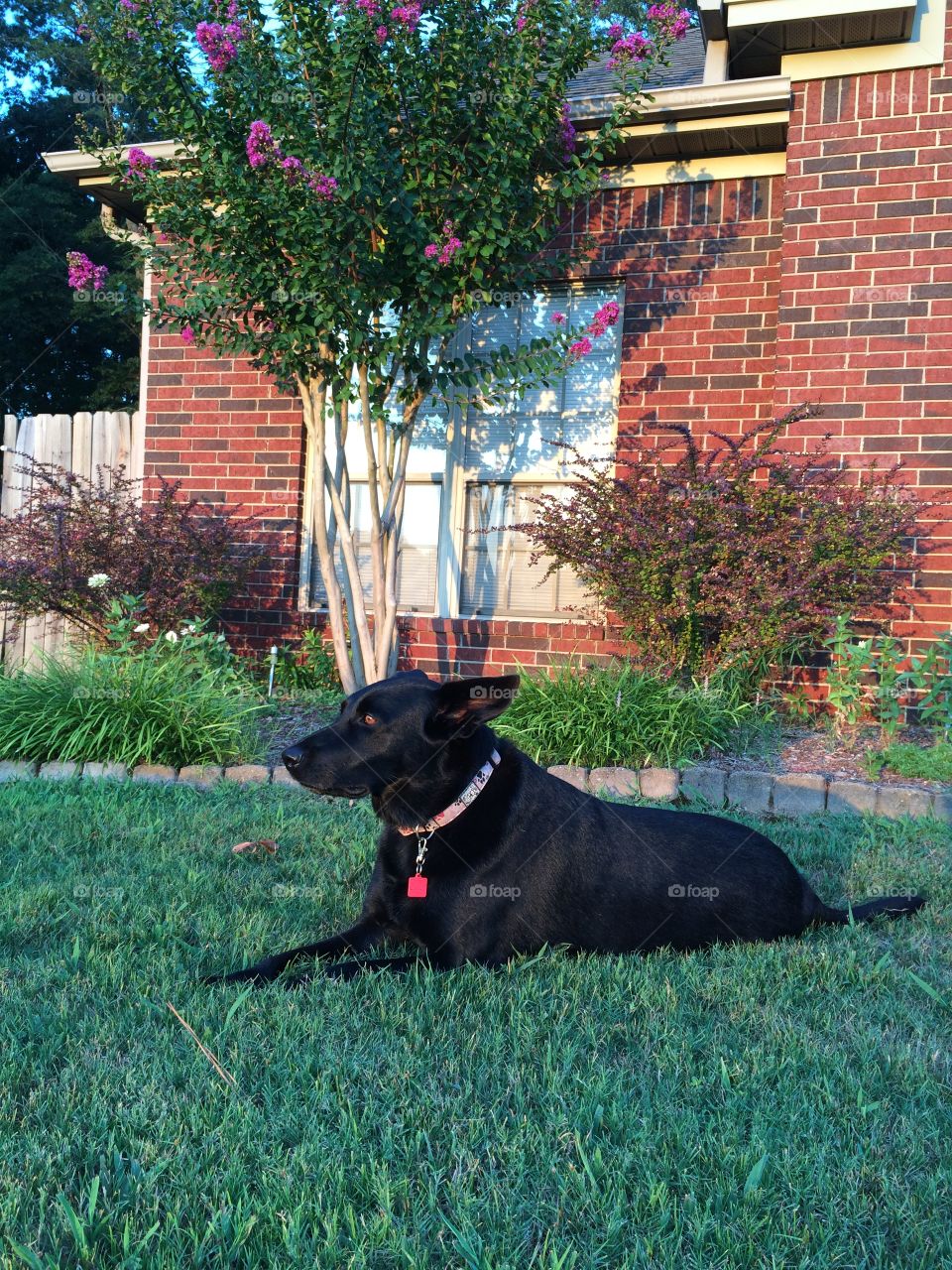 Waiting for the Sun to Set. Leesa enjoys the last rays of sun before going in