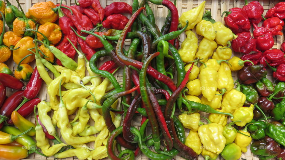 Colored chillies