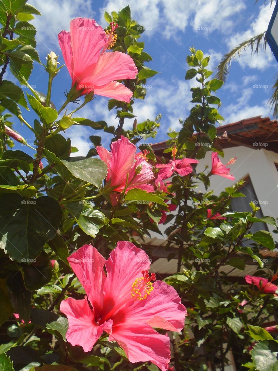 ""DEDICATION""

..."to all lovers passionate about Photos📷 or Videos🎥
...All of us, whether aspiring, amateurs or professionals in Photography/Videos📷🎥 love to record moments or places that mark us.
MY STRONG HUG!