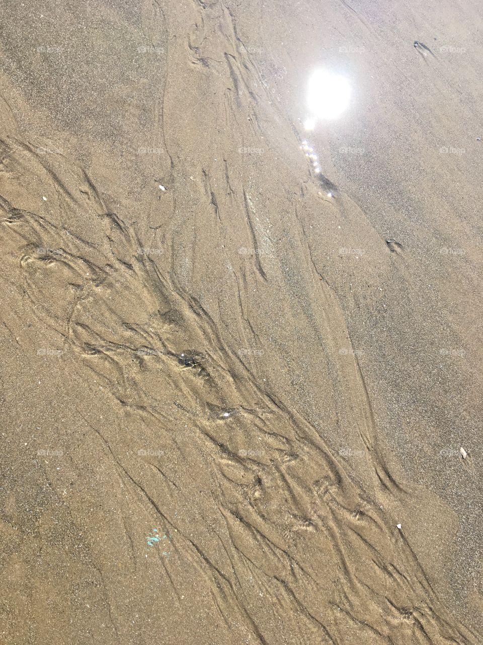 Sunny Borth Sand water bright