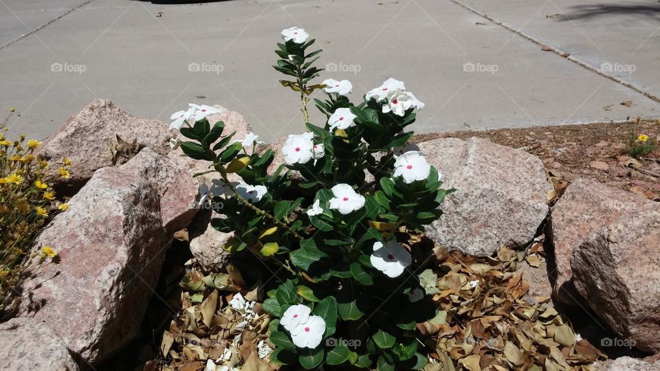 Inam-Innovation photography