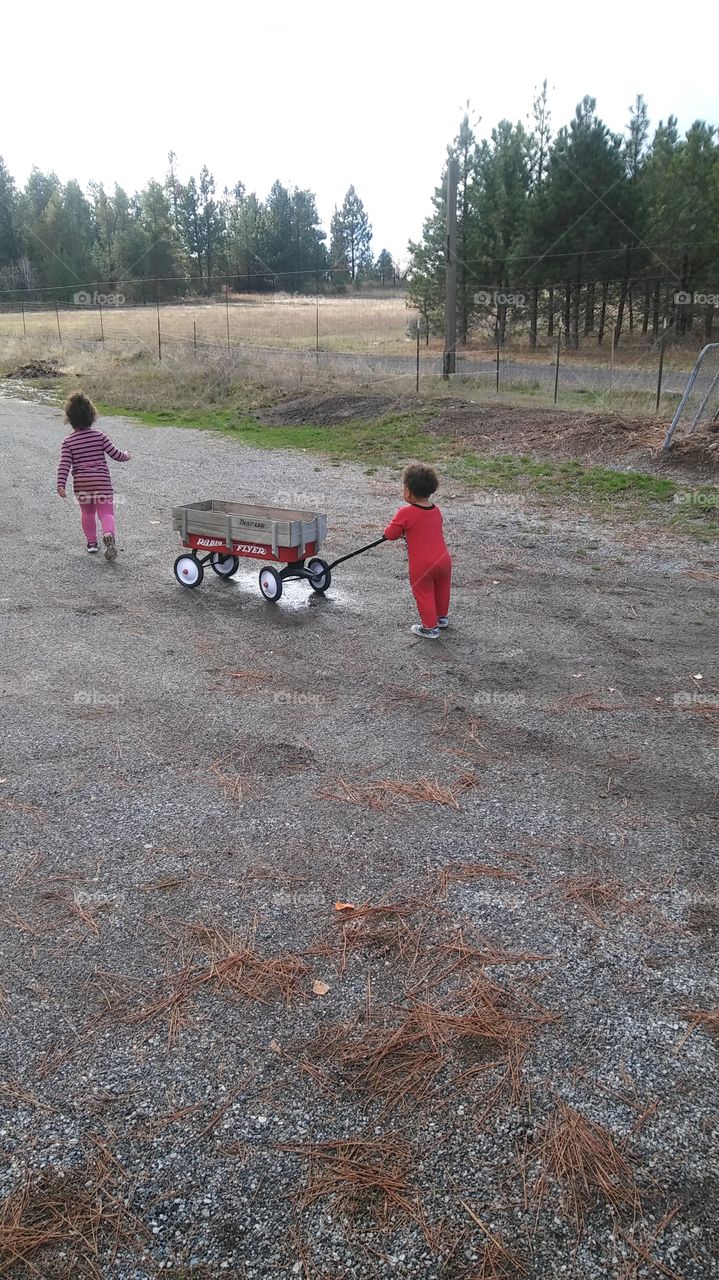 A Boy and His Wagon