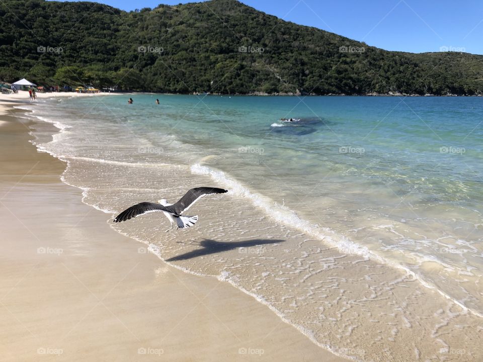 Deslumbre. Beleza natural. Voo no Paraíso. Arraial do Cabo. RJ.