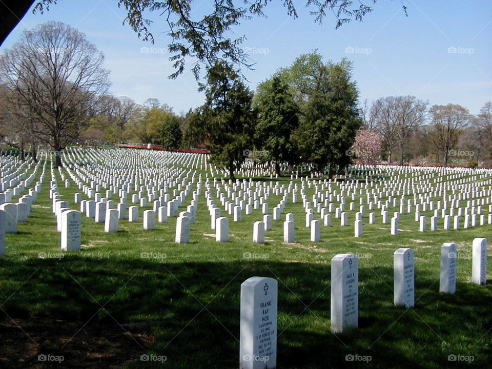 cemetery  fallen veteran honor
