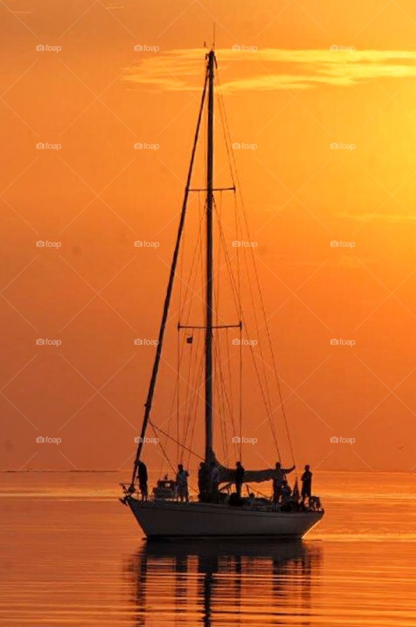 Sailing in sunset