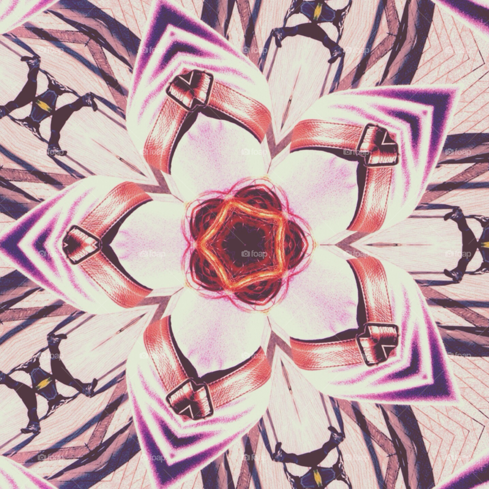 flower purple kaleidoscope confusing by richardrossington