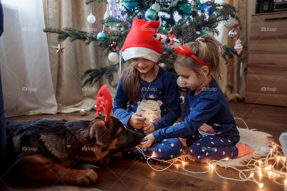 Little sisters with the puppy near Christmas tree