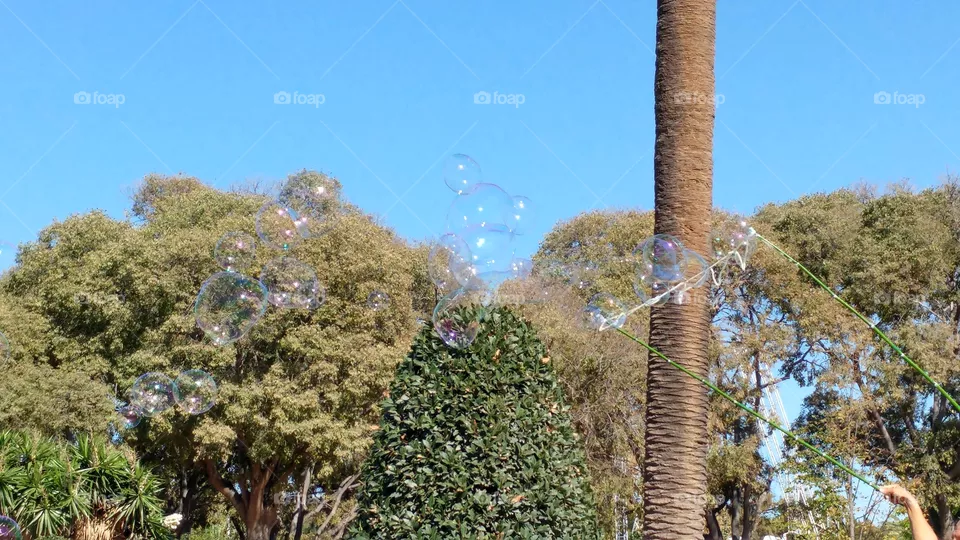 bubbles