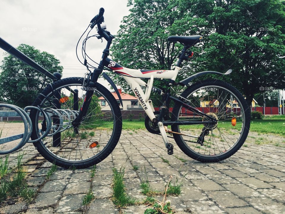 Wheel, Bike, Road, Summer, Grass