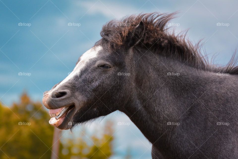 "Something's funny, I would say"