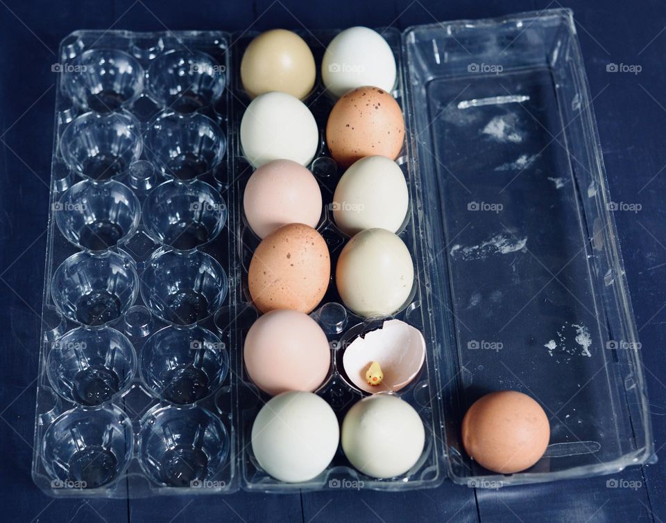 Colorful eggs in a carton with a toy baby chick