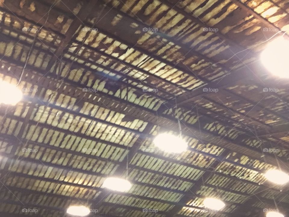 Industrial building with a rusty ceiling and roof. 