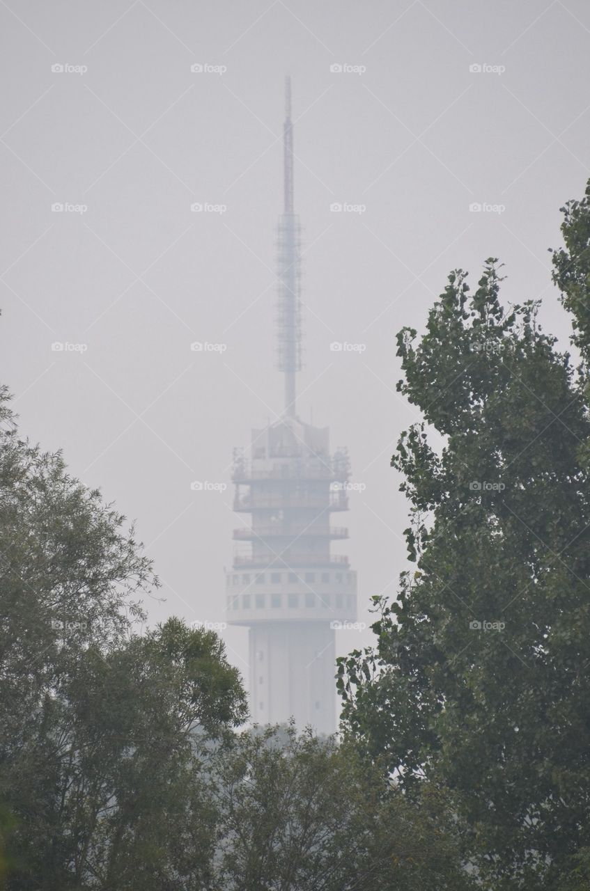 TV Tower between trees.