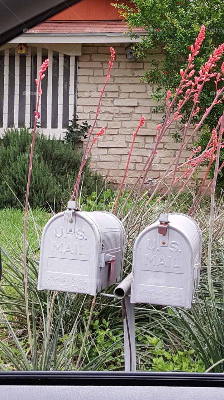 mail ready