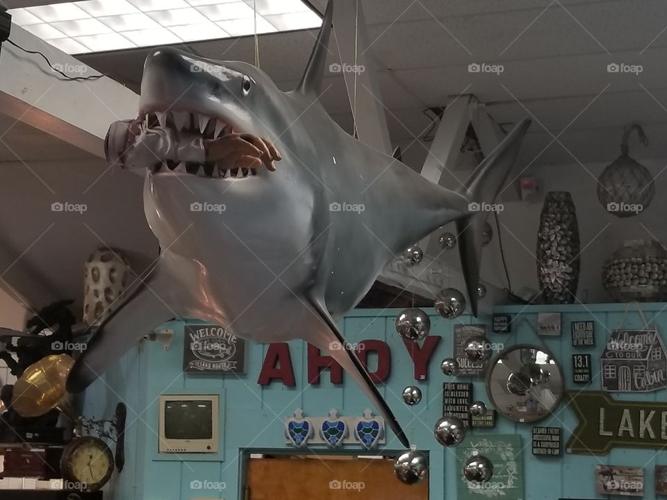 ocean world, Cresent City