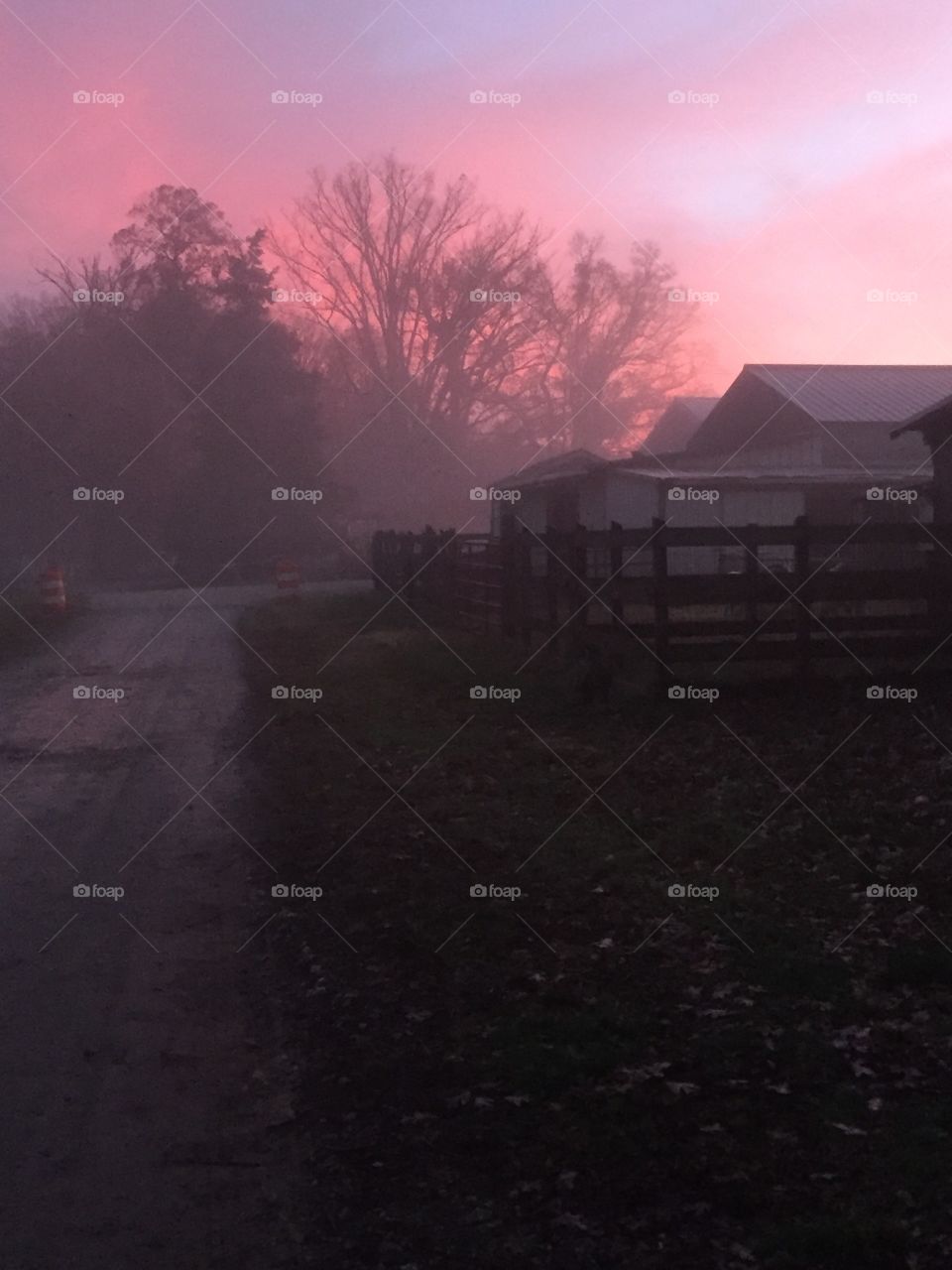Foggy sunrise