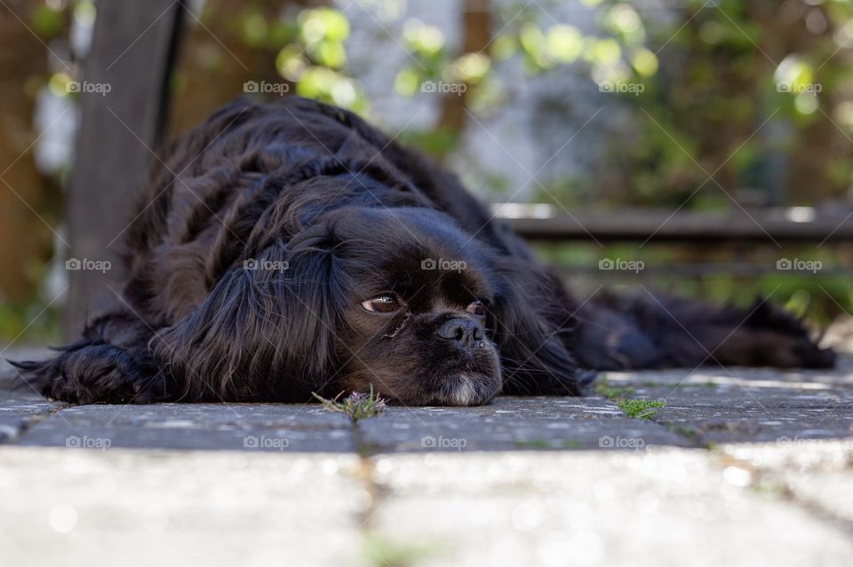 When it’s hot outside, it’s a good thing with a little shade. 