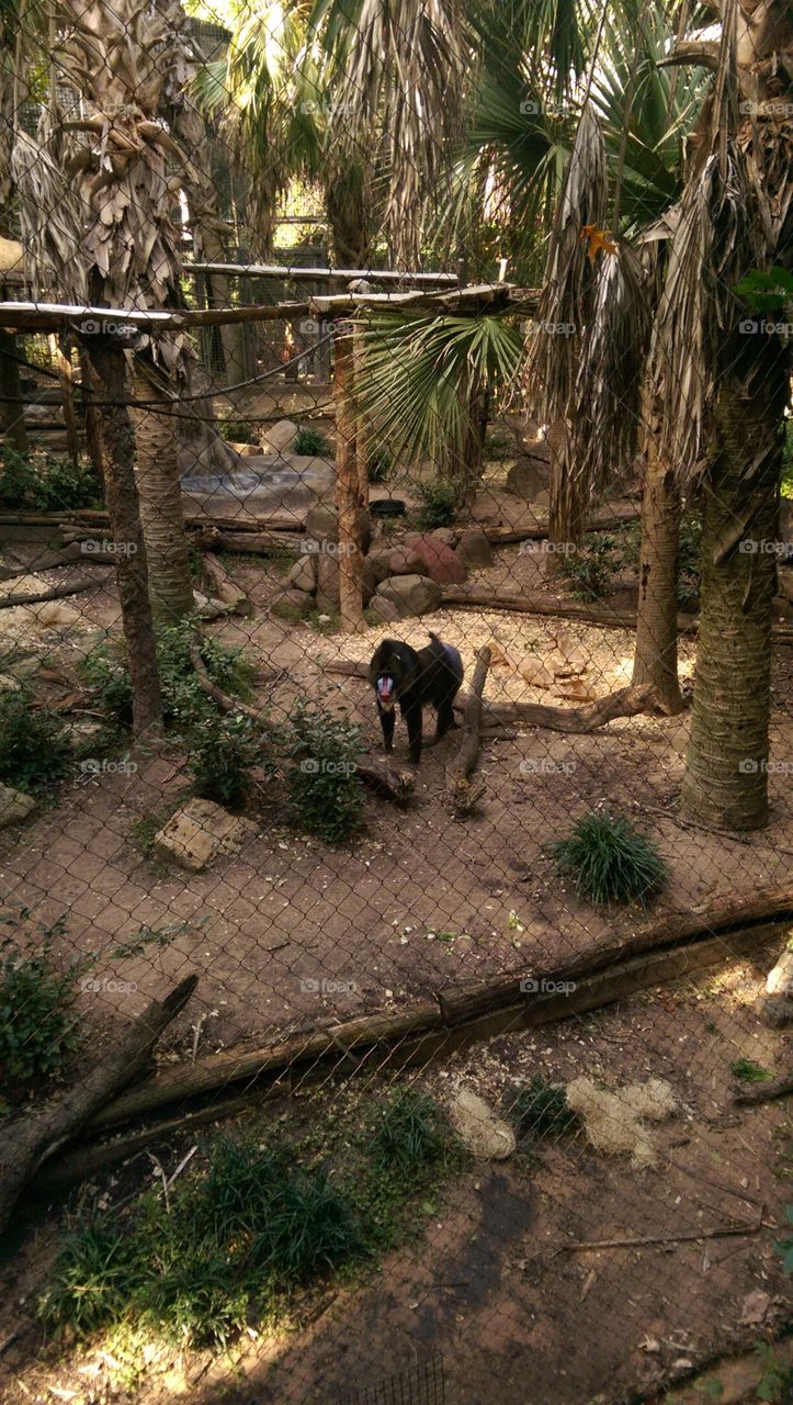 No Person, Tree, Outdoors, Travel, Wood