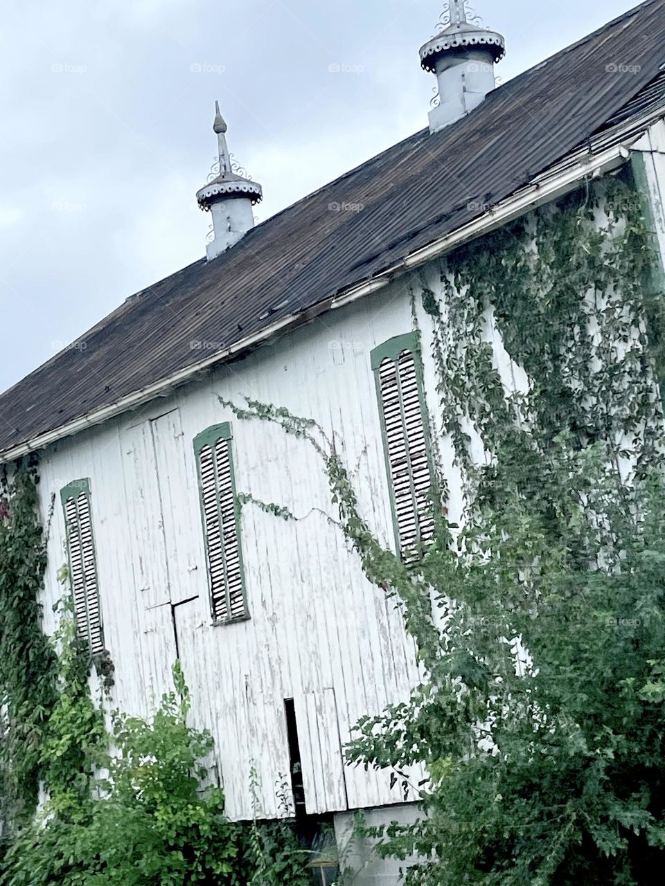 Old barn overgrown and neglected structure 