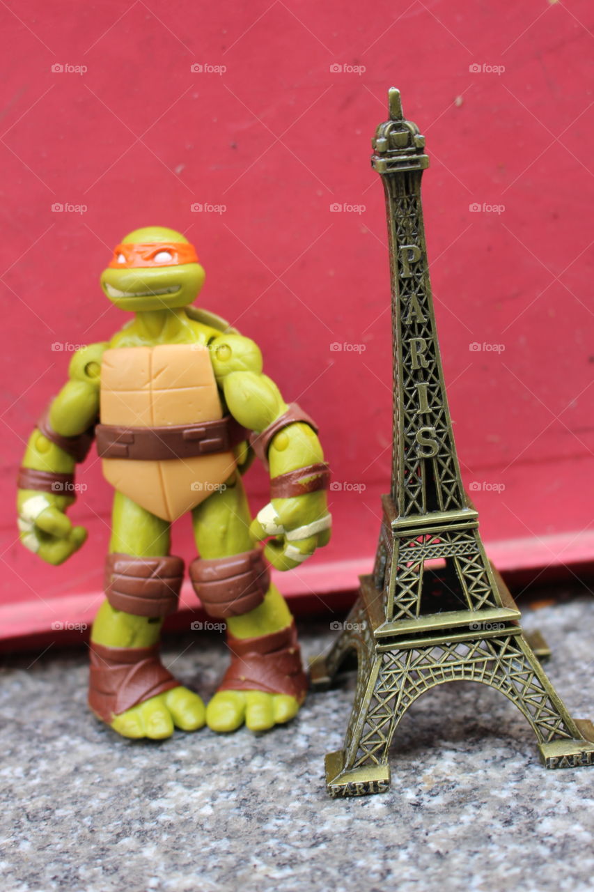 Turtle in Paris