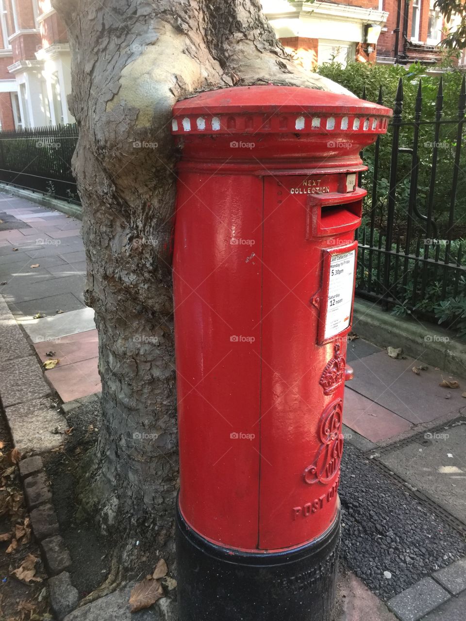 Tree hugging a post box in Kensington, London. UK
