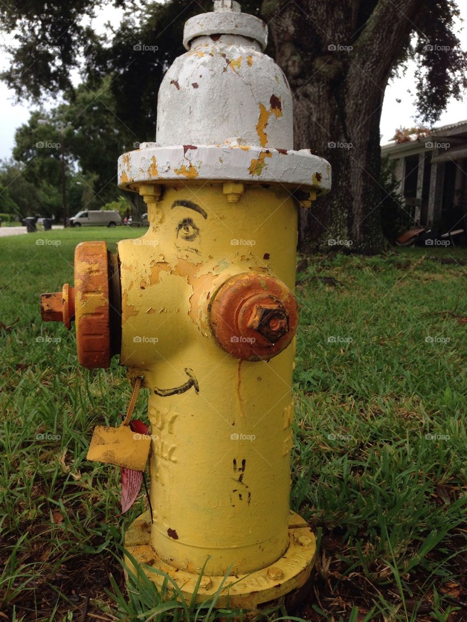 Fire hydrant