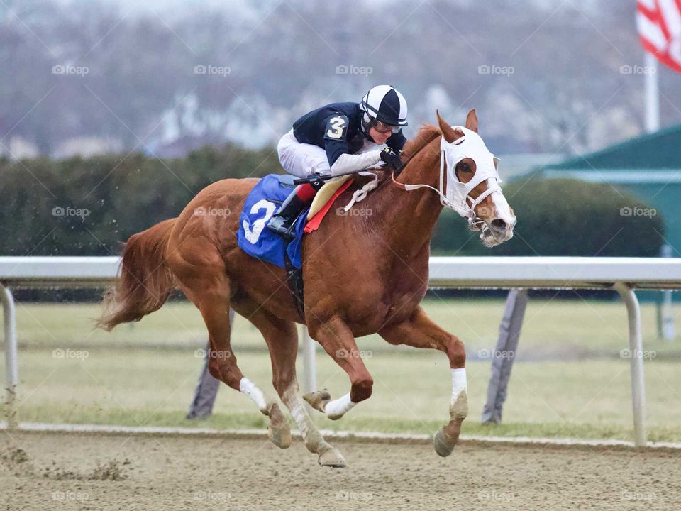 Horse racing from Aqueduct