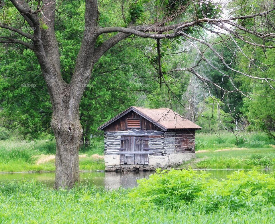 tree and boat house