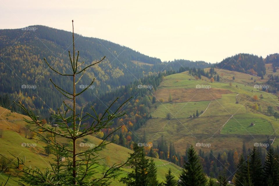 Mountain, No Person, Nature, Tree, Landscape