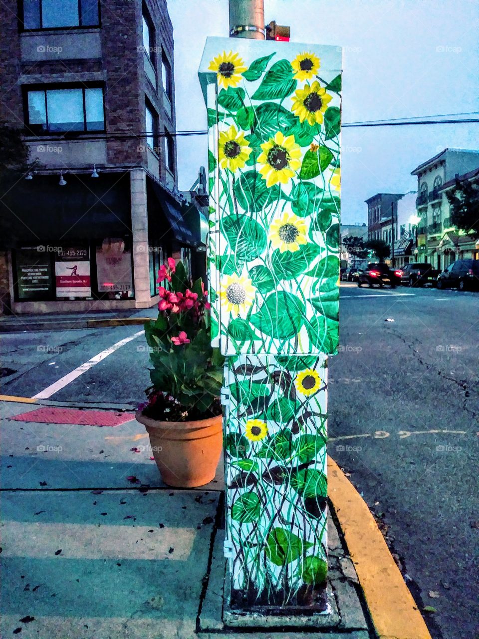 painted utility box 19th Street and Broadway Bayonne New Jersey.