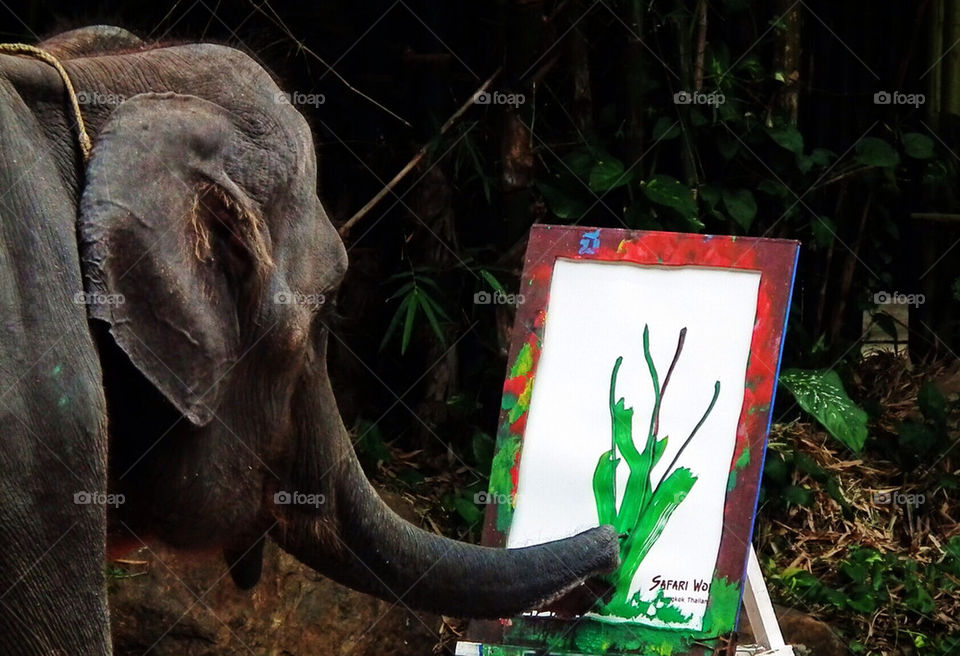 Painting elephant at Bangkok safari world Thailand
