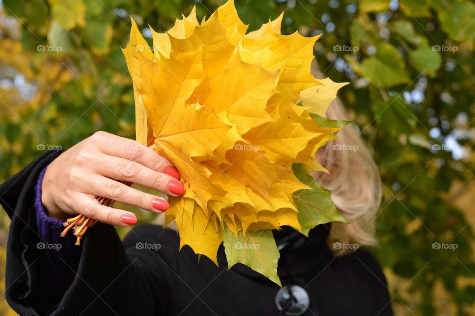 yellow autumn leaves in the female hand, outside, love autumn time