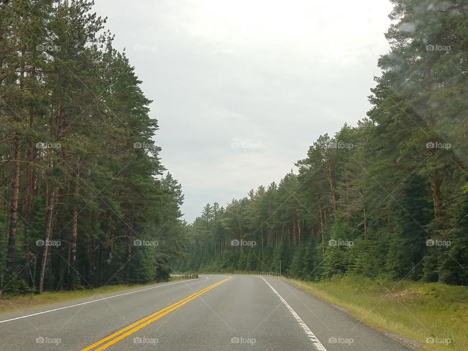 Road, No Person, Tree, Asphalt, Guidance