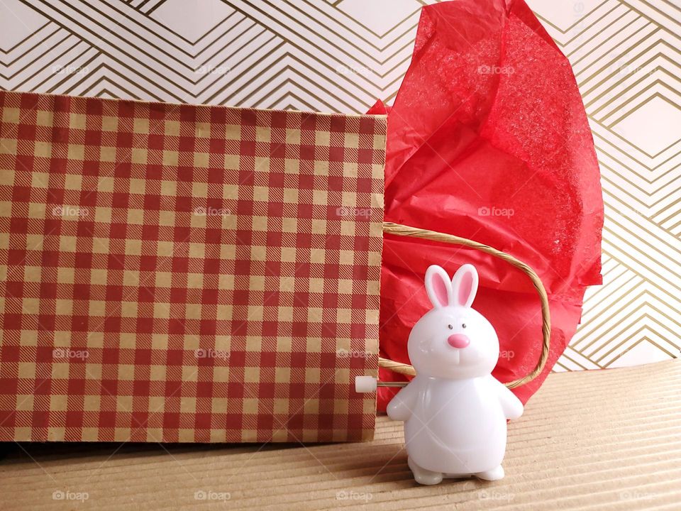 Gift bag and bunny