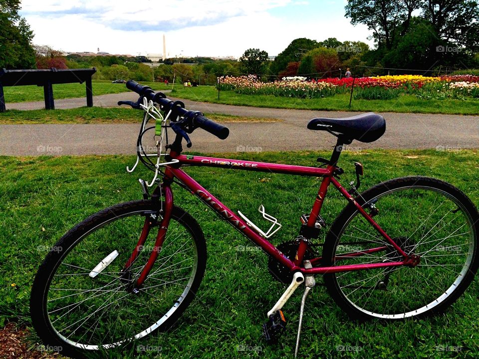 DC bike ride . Bike with DC skyline in background