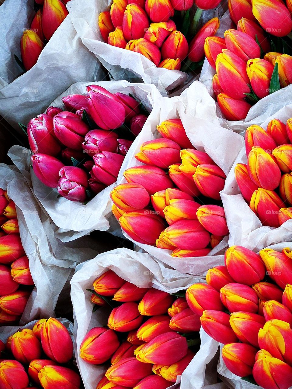 Flowers.  Large bouquets of red-yellow and pink tulips