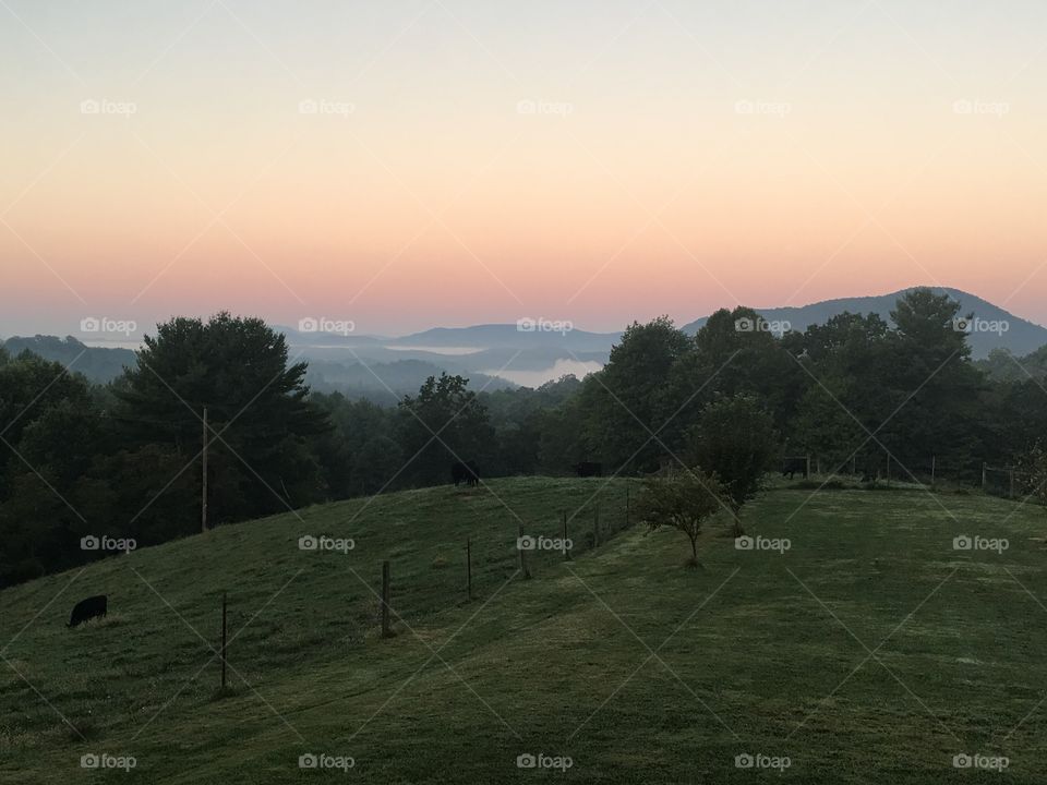 Blue Ridge Morning