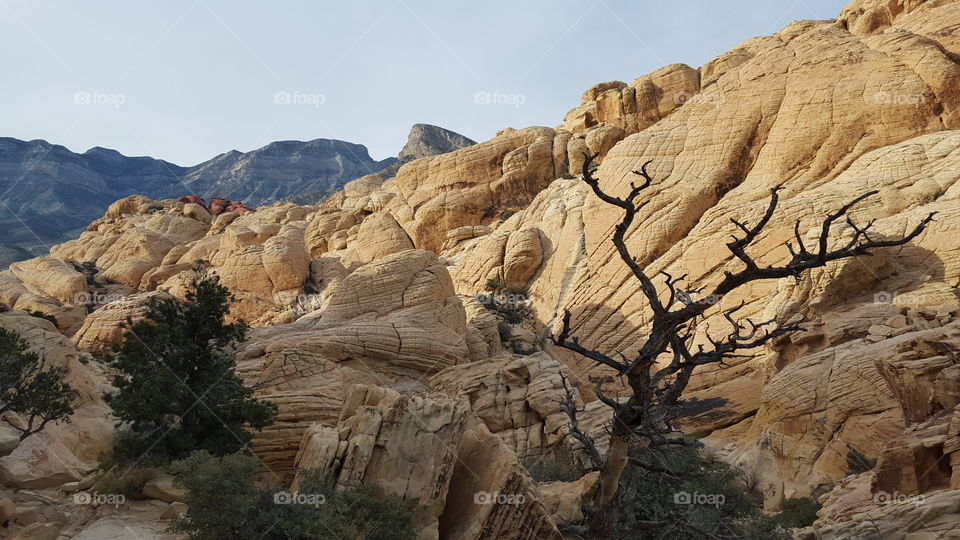 No Person, Rock, Travel, Landscape, Desert