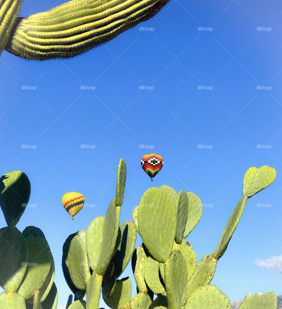 Fall Nature Landscape - Hot Air Balloons 