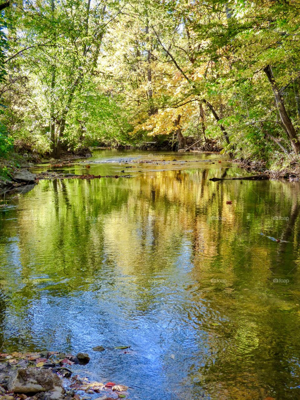 Fall view in the park
